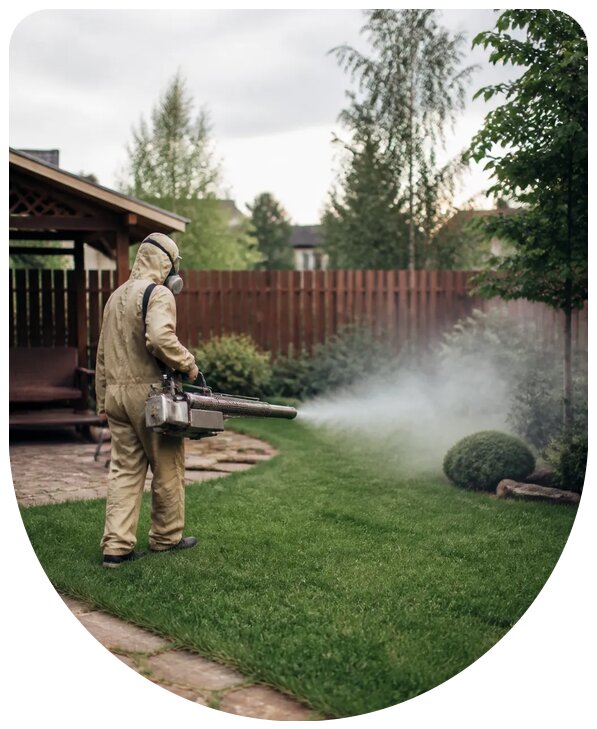 Профессиональная обработка участка от комаров в Ломоносове